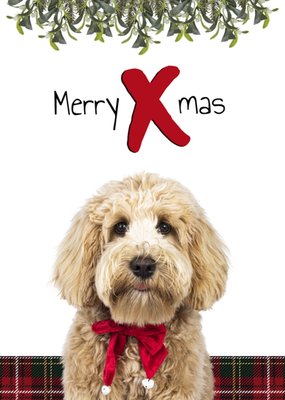 Catchy Images | Kerstkaart | Merry X mas