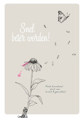 Veer&Moon | Beterschapskaart | Rode zonnehoed en vlinder