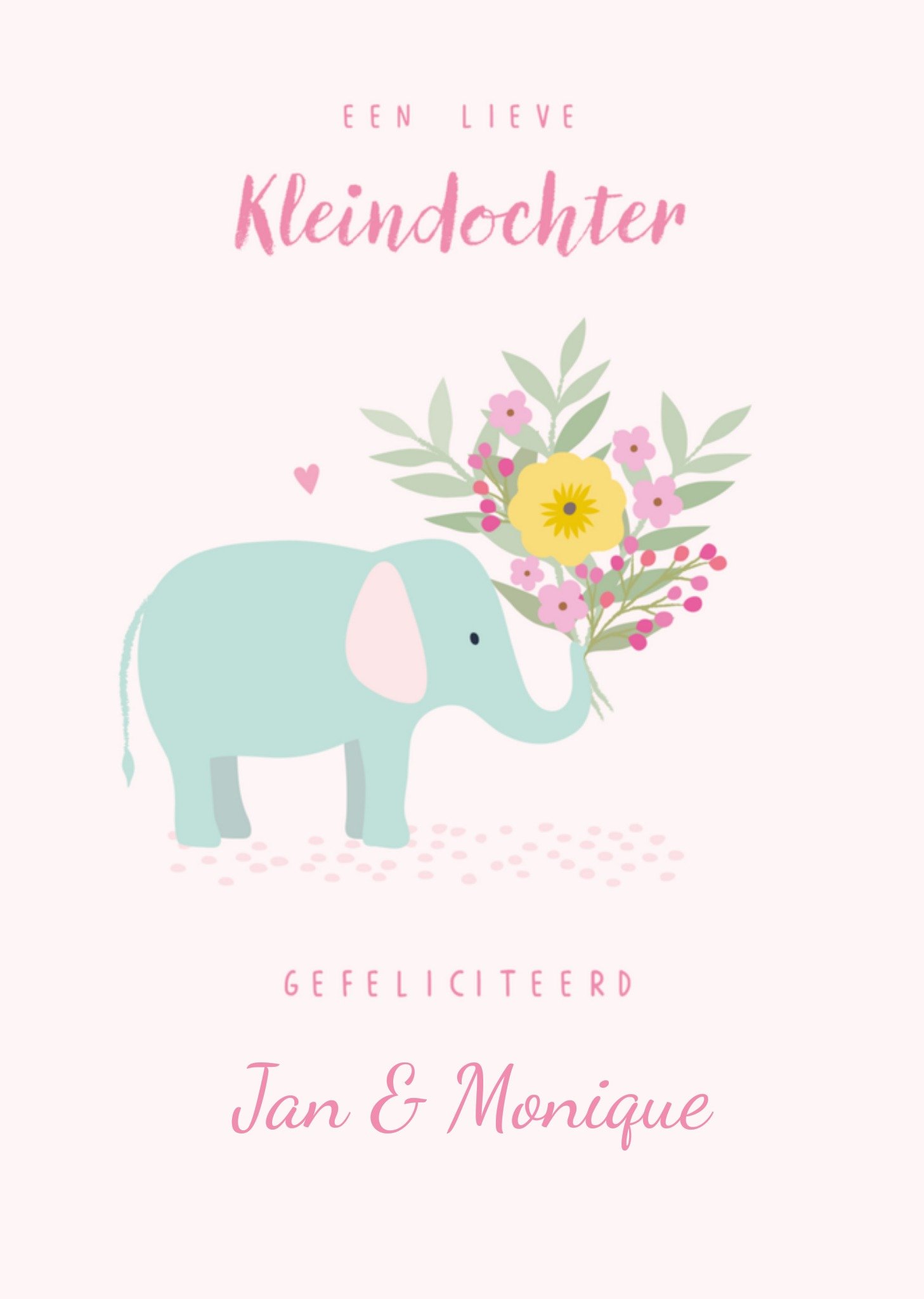 Geboortekaart Kleindochter Olifant Kaart Klara Hawkins