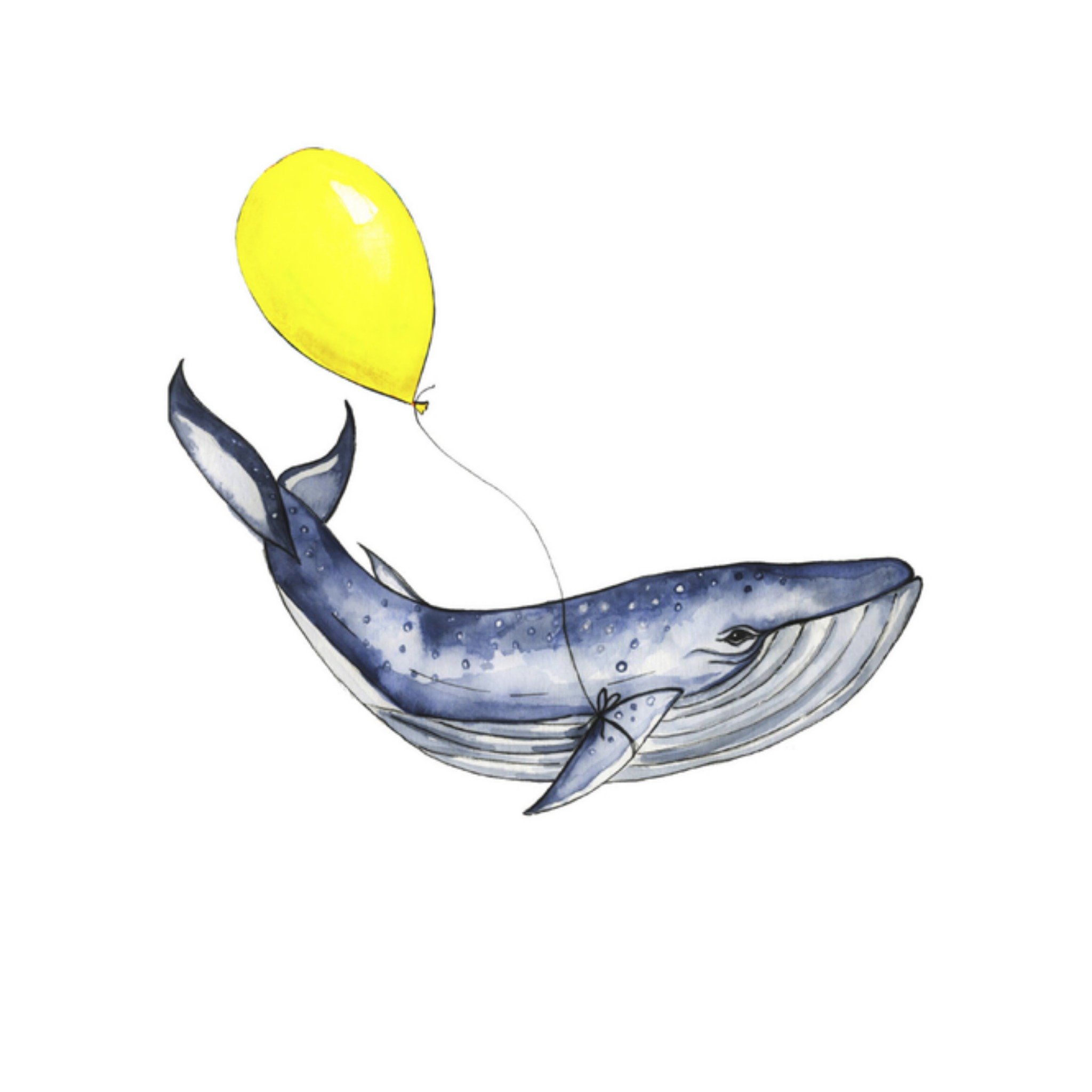 Geboortekaart walvis Vierkante Kaart Marie Bodié
