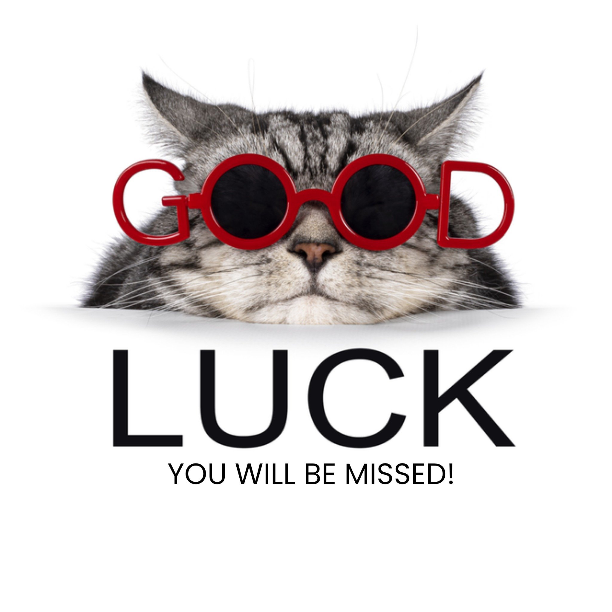 Succeskaart zakelijk Vierkante Kaart Catchy Images