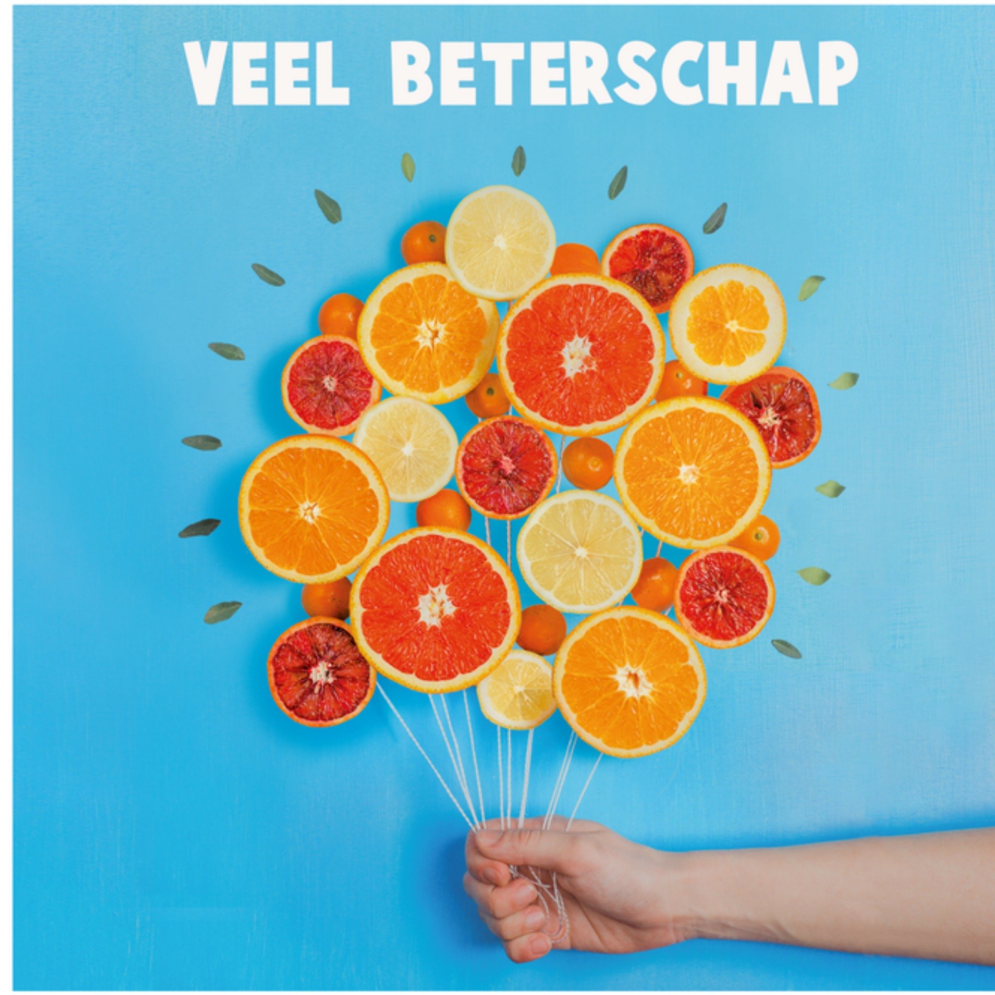 Beterschapskaart Fruit Vierkante Kaart Paperclip