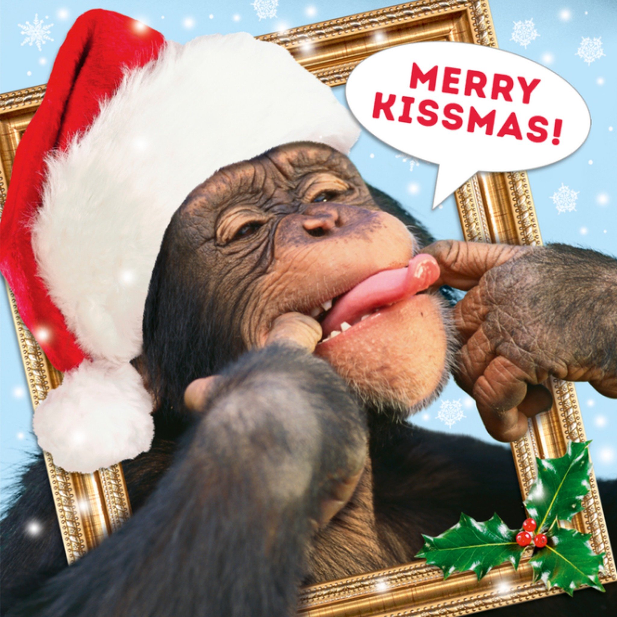 Kerst Aap Grappig TMS