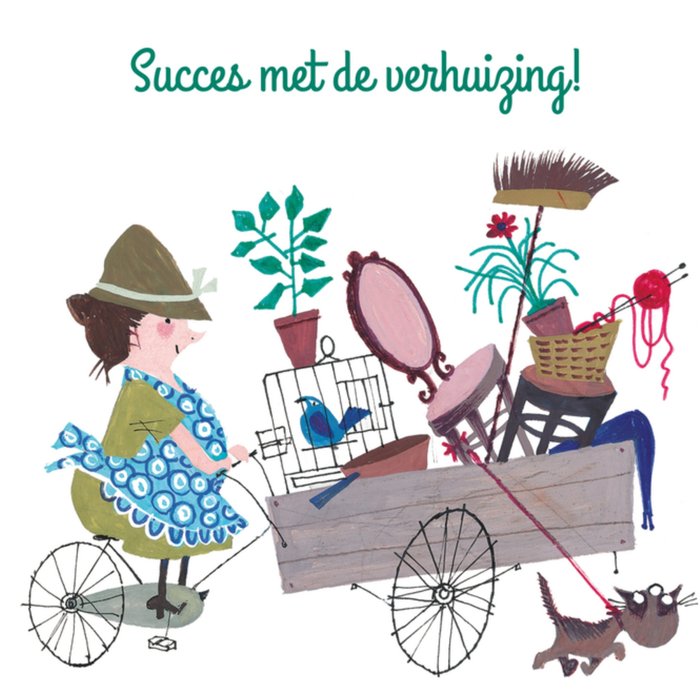 Verhuizing met de bakfiets