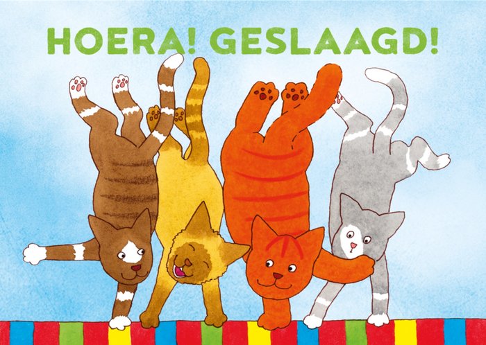 Dikkie Dik | Geslaagdkaart | Hoera