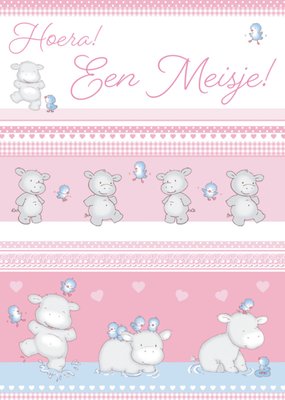 TMS | Geboortekaart | Meisje | Roze