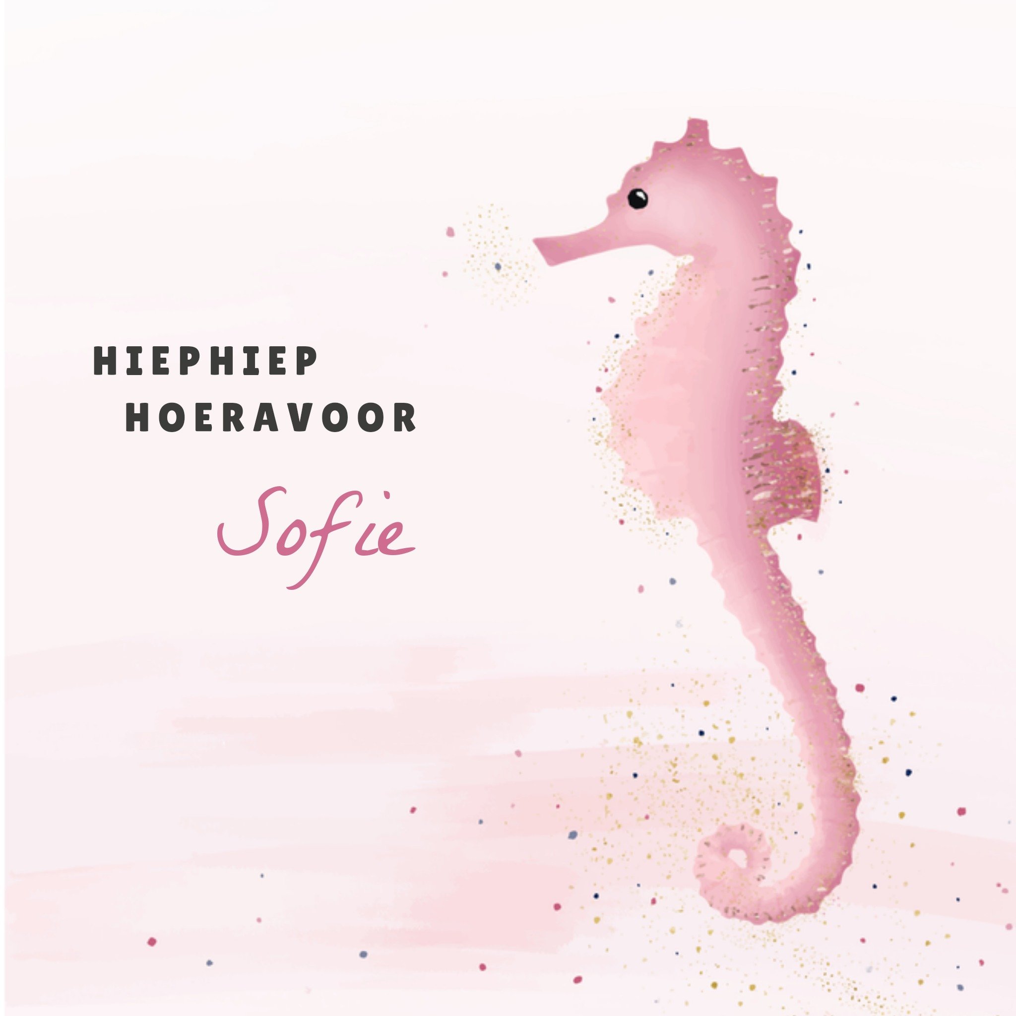 Greetz Verjaardagskaart Zeepaardje Vierkant