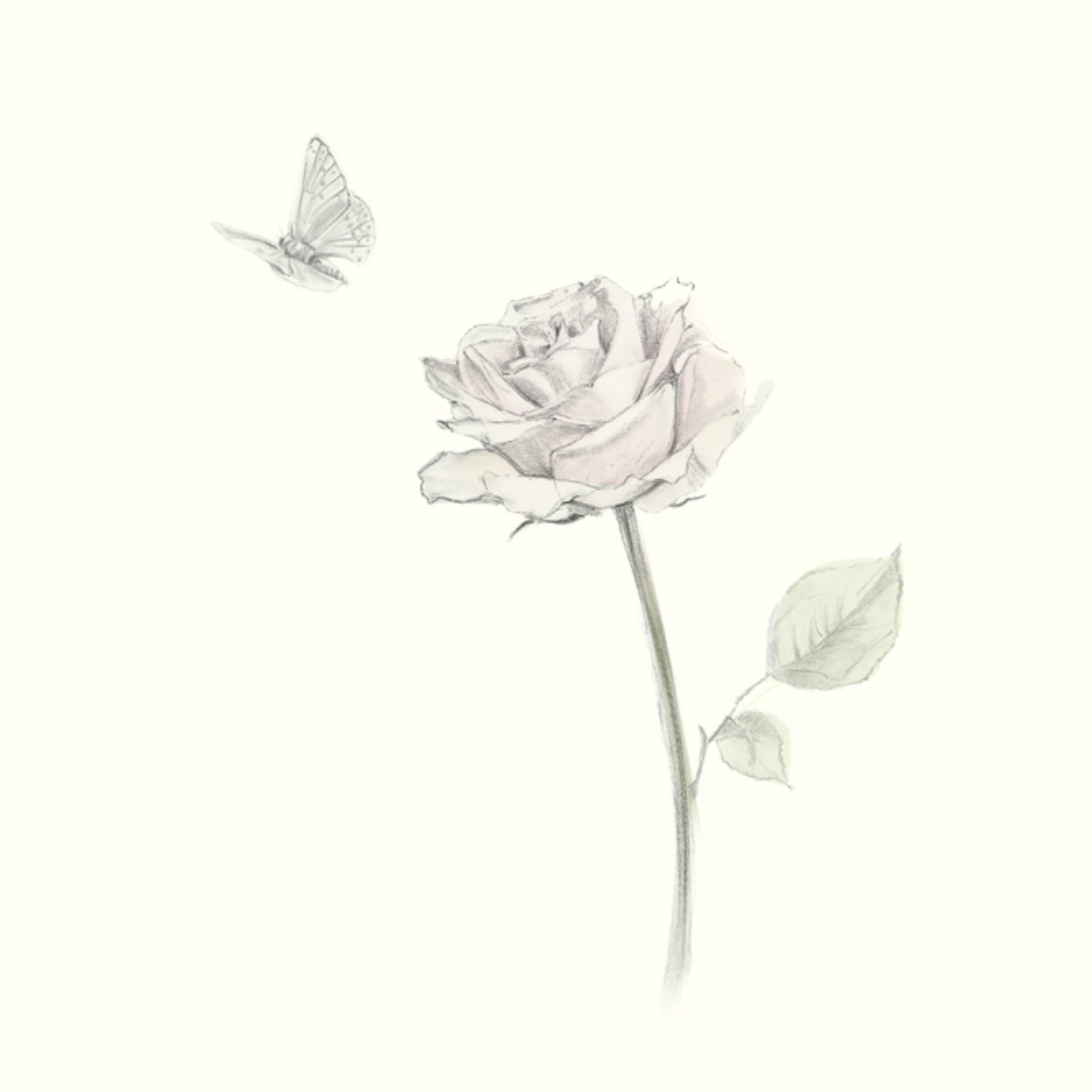 Condoleancekaart Roos Vierkante Kaart UK Greetings