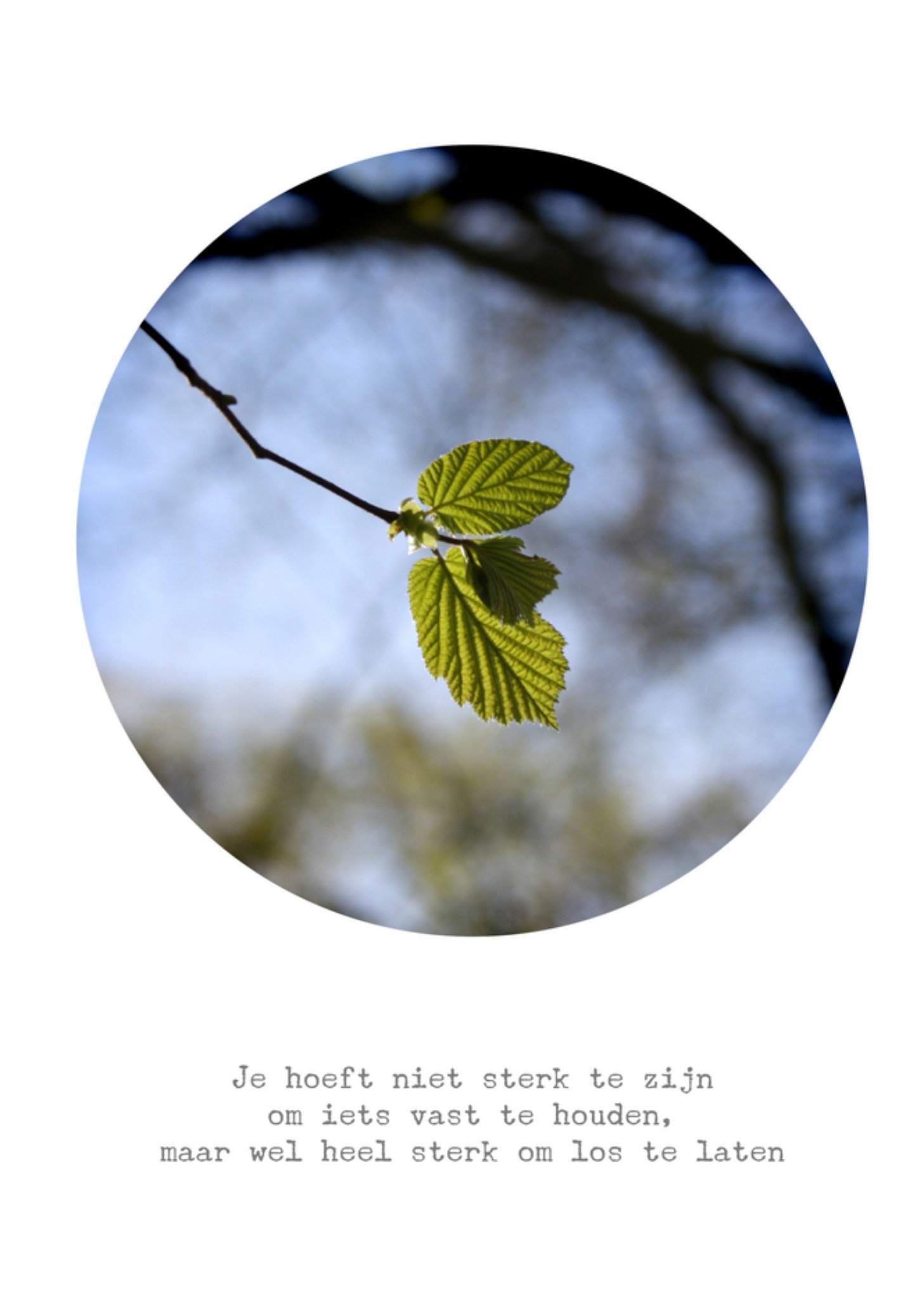 Condoleancekaart Gedicht Kaart Bright Spot