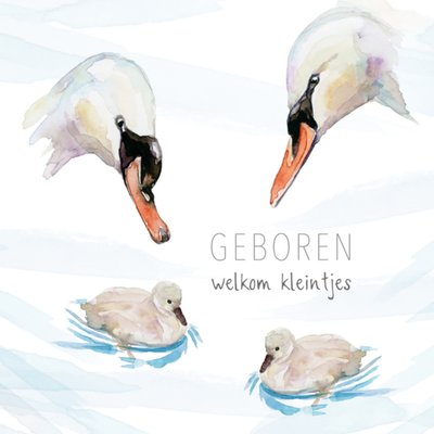 Michelle Dujardin | Geboortekaart | Zwanen