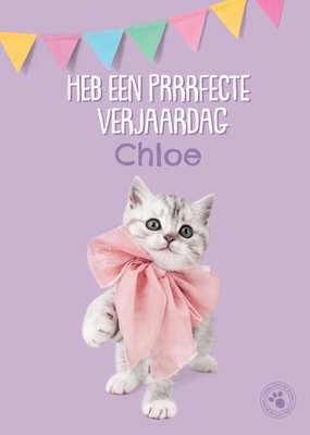 Studio Pets | Verjaardagskaart | Heb een prrrfecte verjaardag  