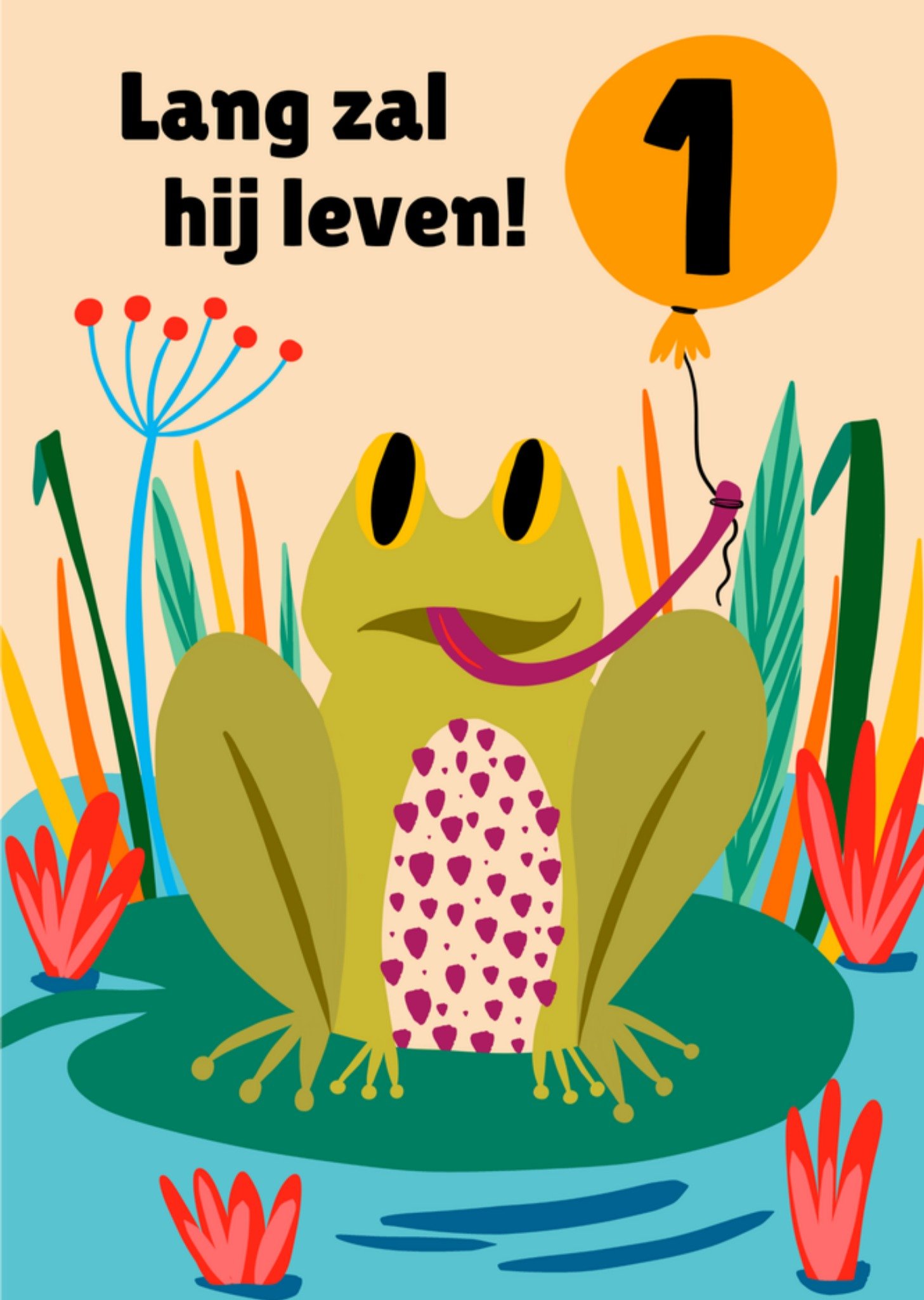 Verjaardagskaart 1 Kikker Jongen Kaart Greetz