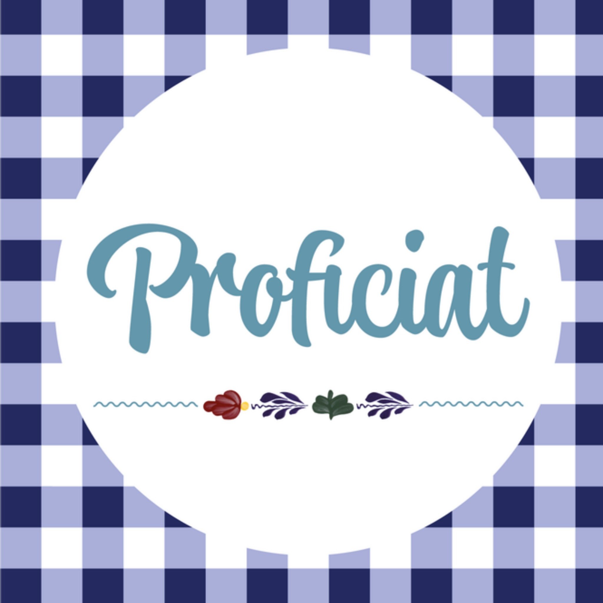 Verjaardagskaart Proficiat Vierkante Kaart Boerenbont