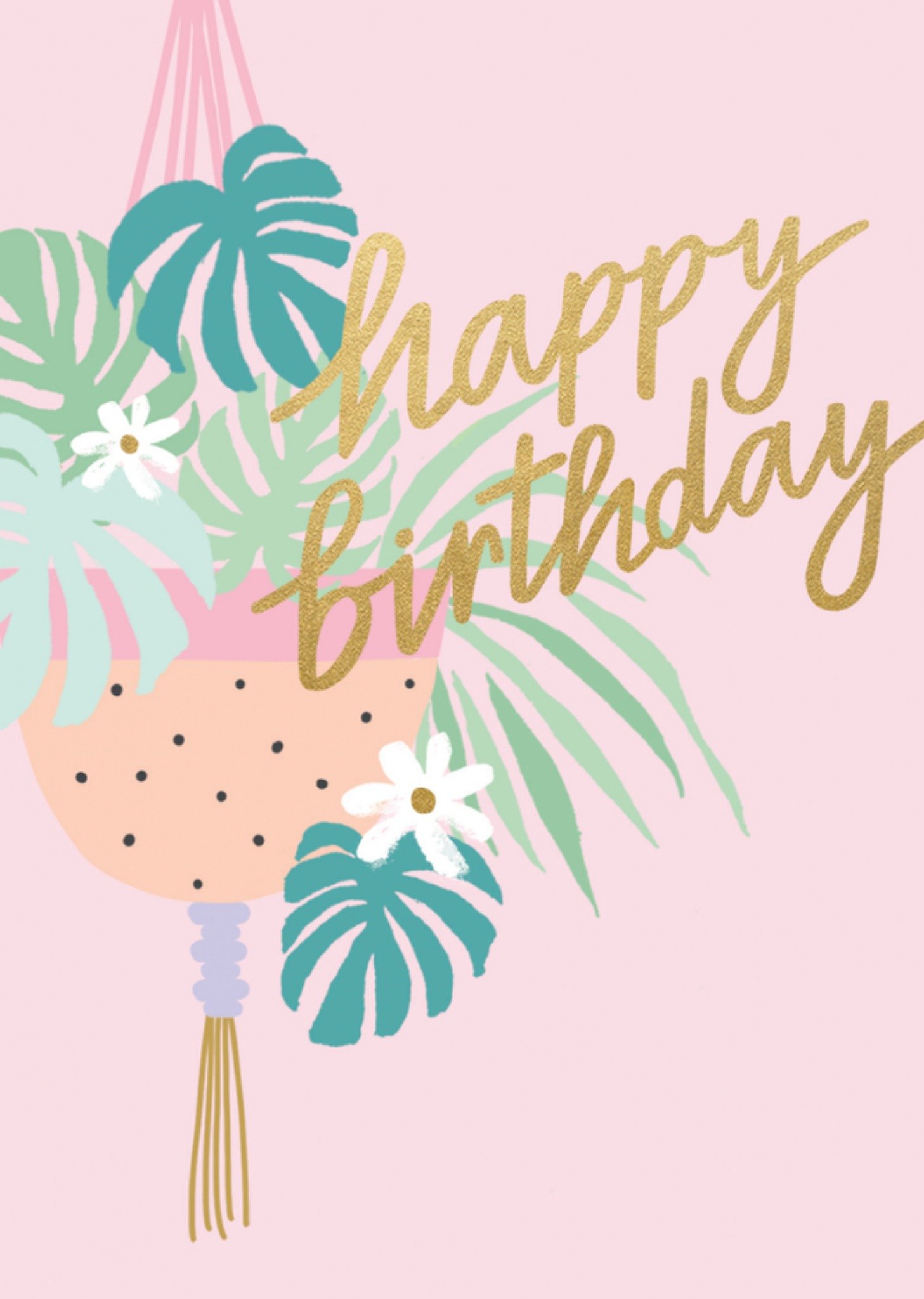 Verjaardagskaart plant Kaart Sadler Jones