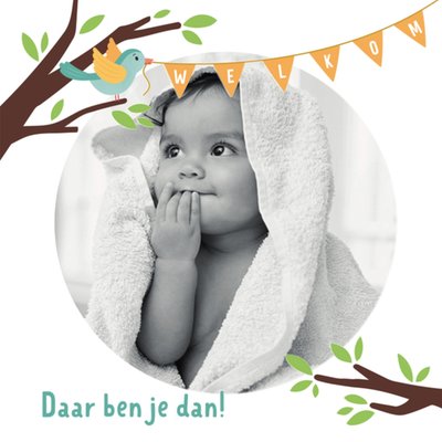 Kleine Twinkeltjes | Geboortekaart | fotokaart