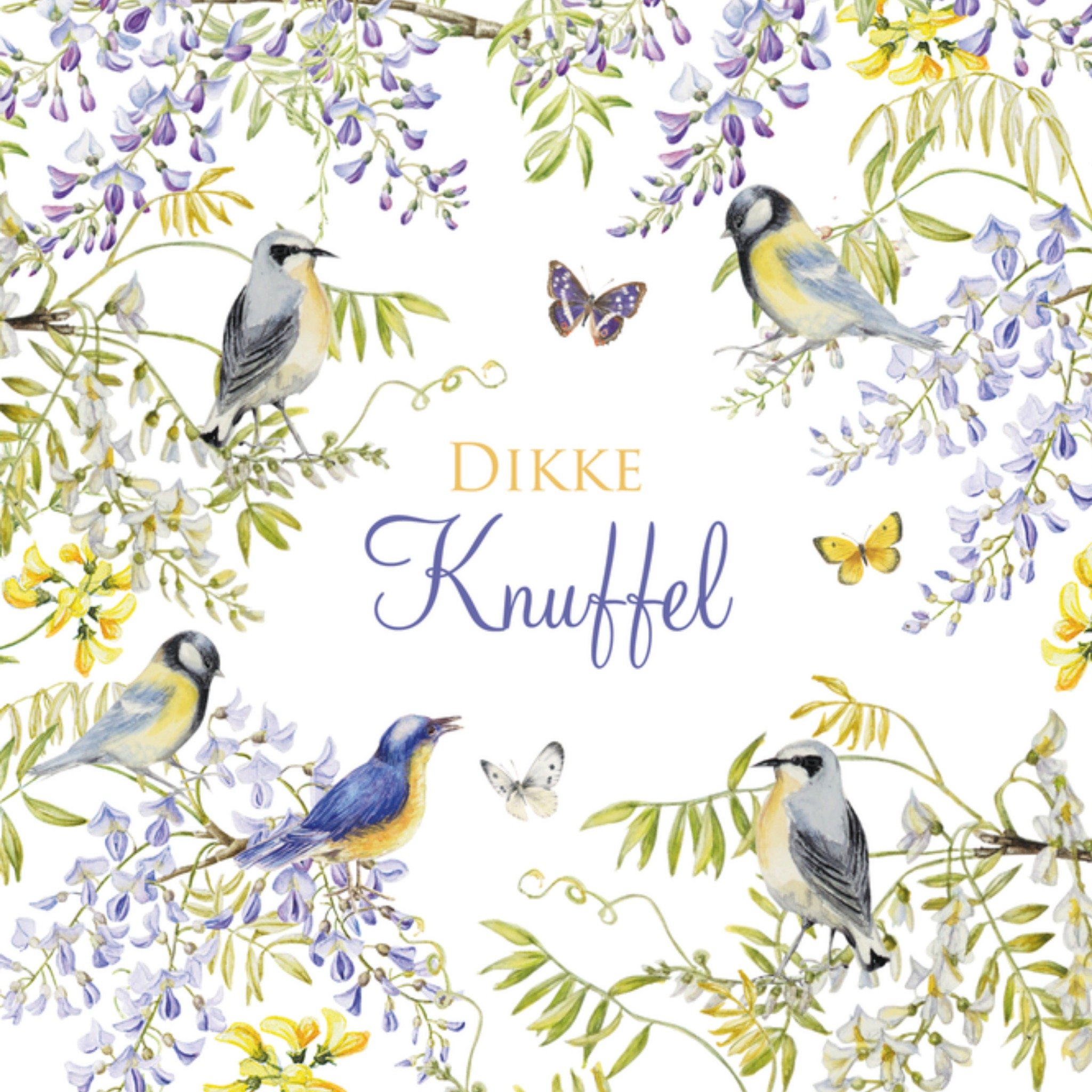 Denken aan kaart knuffel Vierkante Kaart Janneke Brinkman