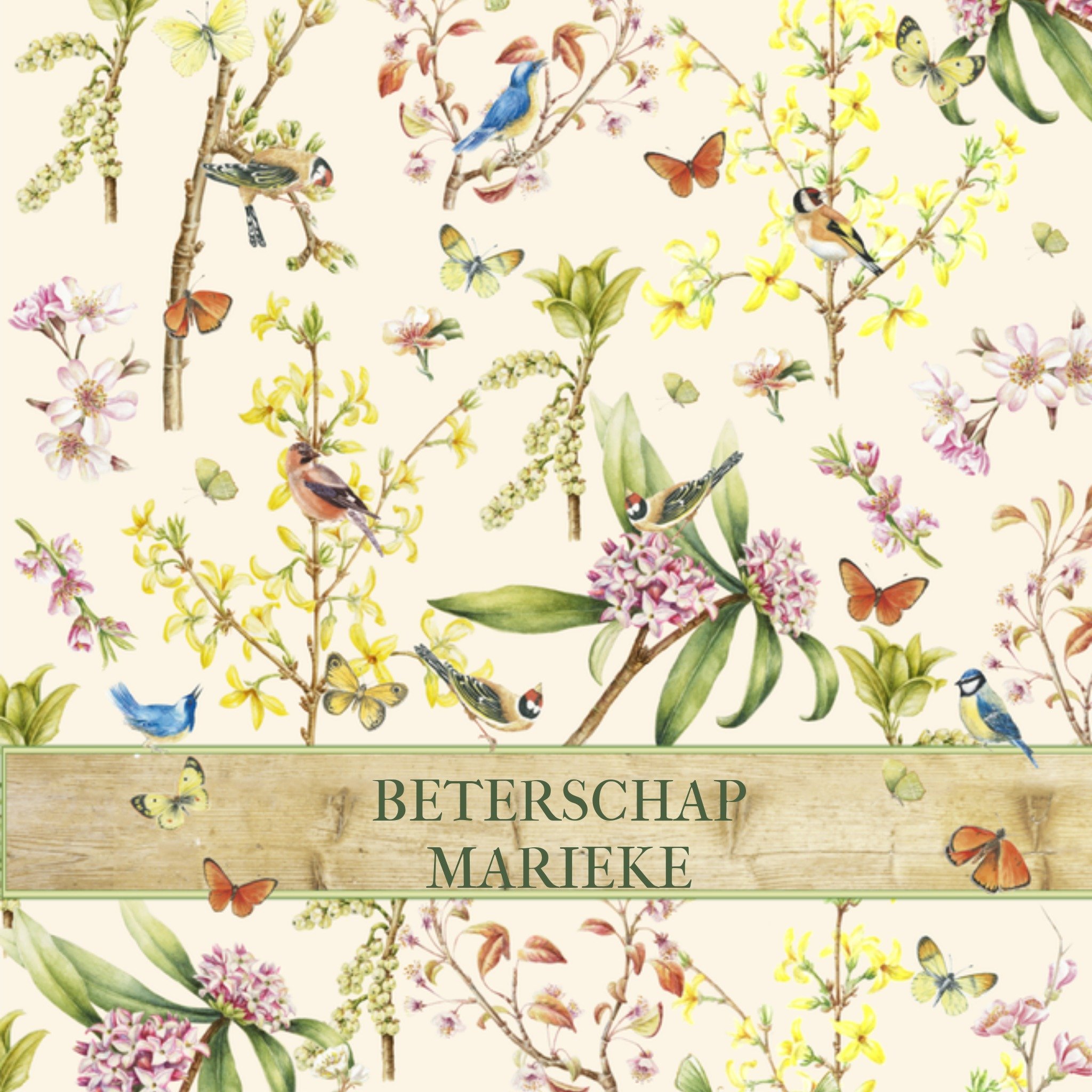 Beterschapskaart Bloemen, vlinders en vogels Vierkante Kaart Janneke Brinkman