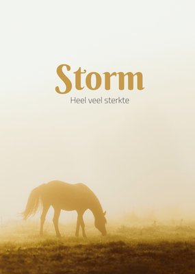 Fotografisch Paard In Mist Sterkte Kaart