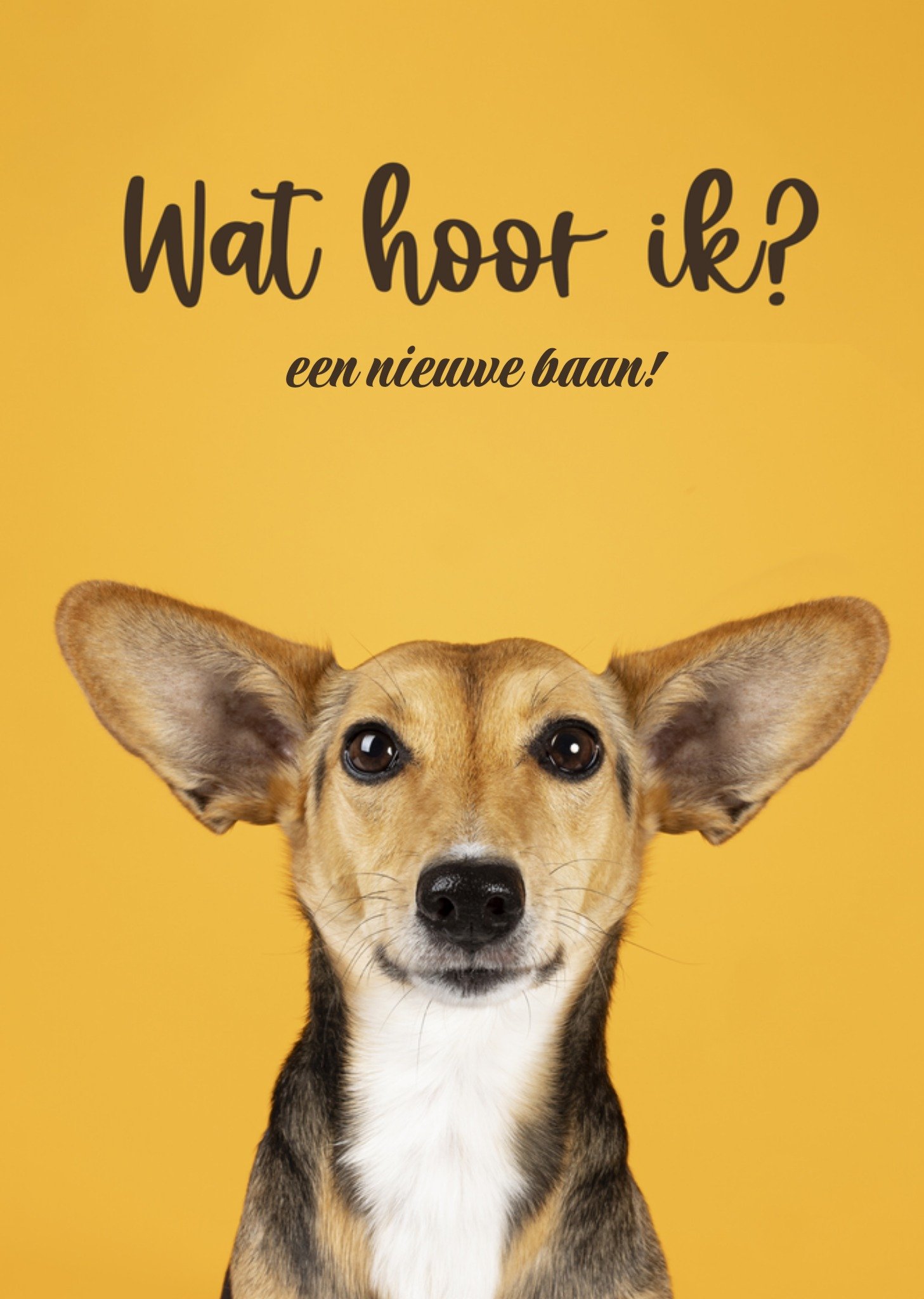 Nieuwe Baan kaart kleinzoon wat hoor ik? Catchy Images