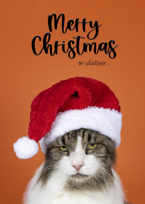 Catchy Images | Kerstkaart | Grumpy