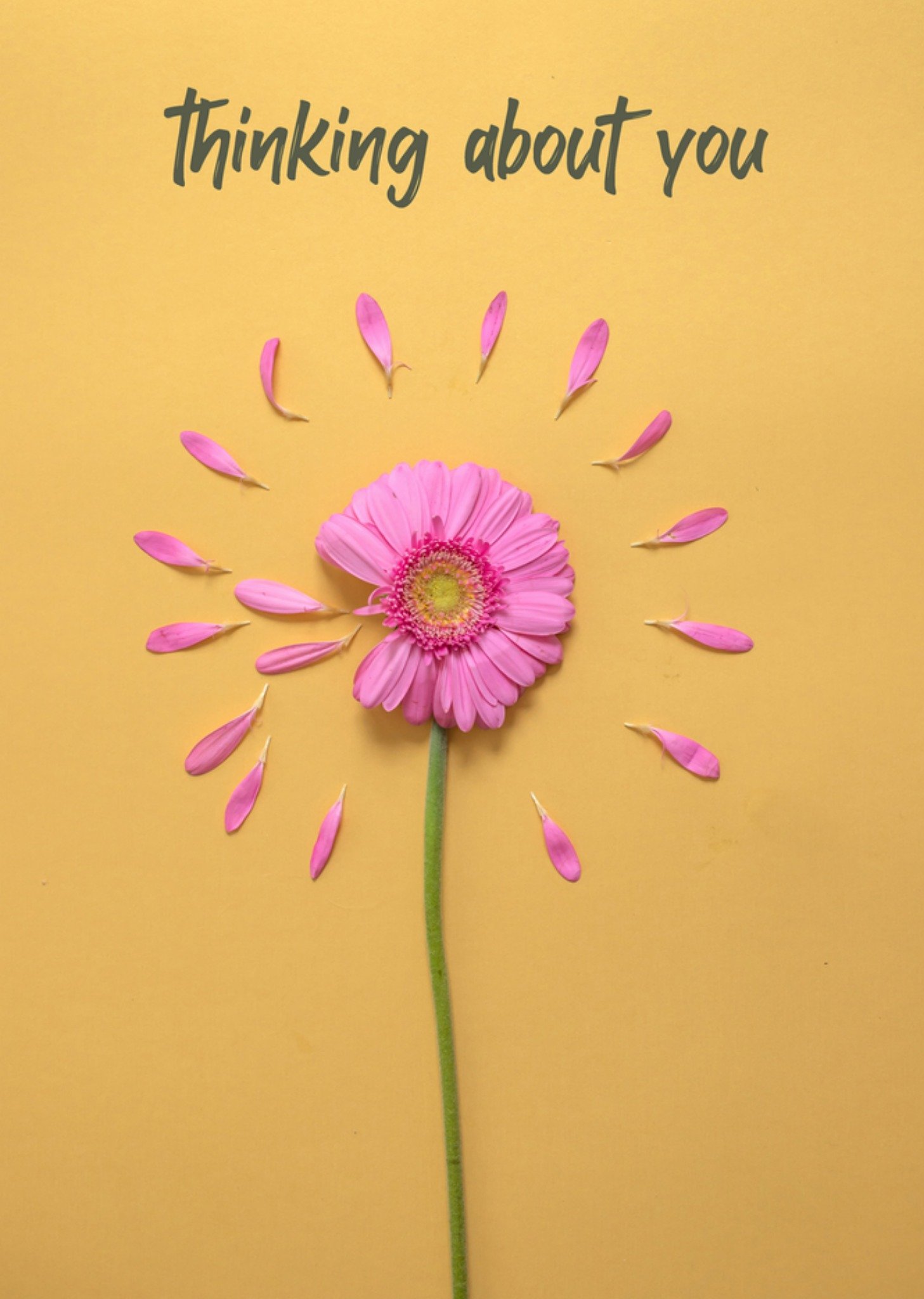 Denken aan kaart bloem Kaart Photoflash