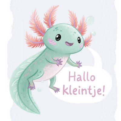 Greetz | Geboortekaart | Hallo kleintje!