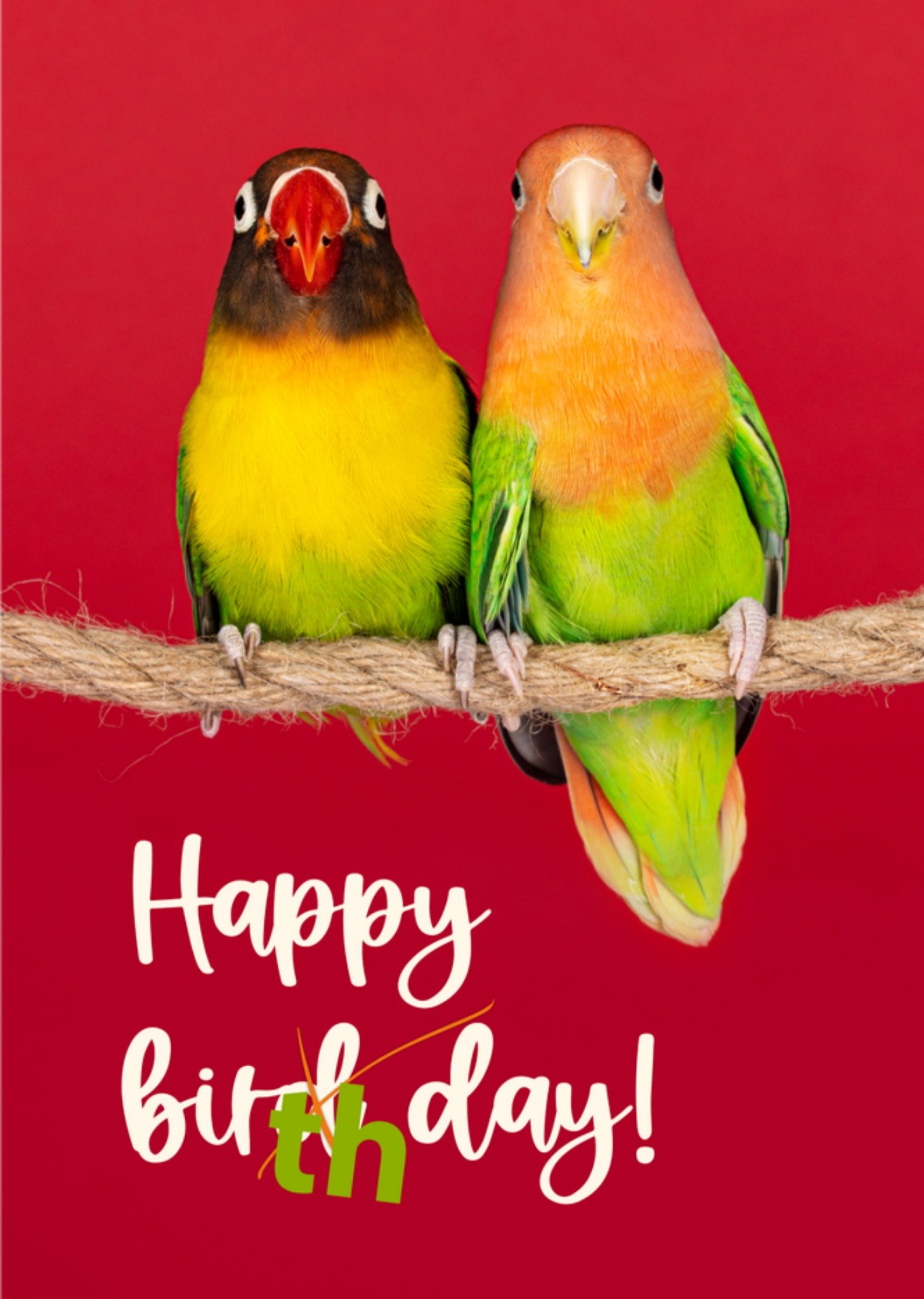 Verjaardagskaart Vogels Kaart Catchy Images