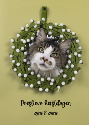 Poeslieve Kerstdagen Kat In Maretakkrans Opa En Oma Kaart