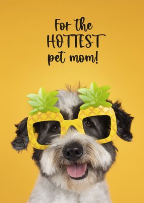 Catchy Images | Moederdagkaart | pet mom