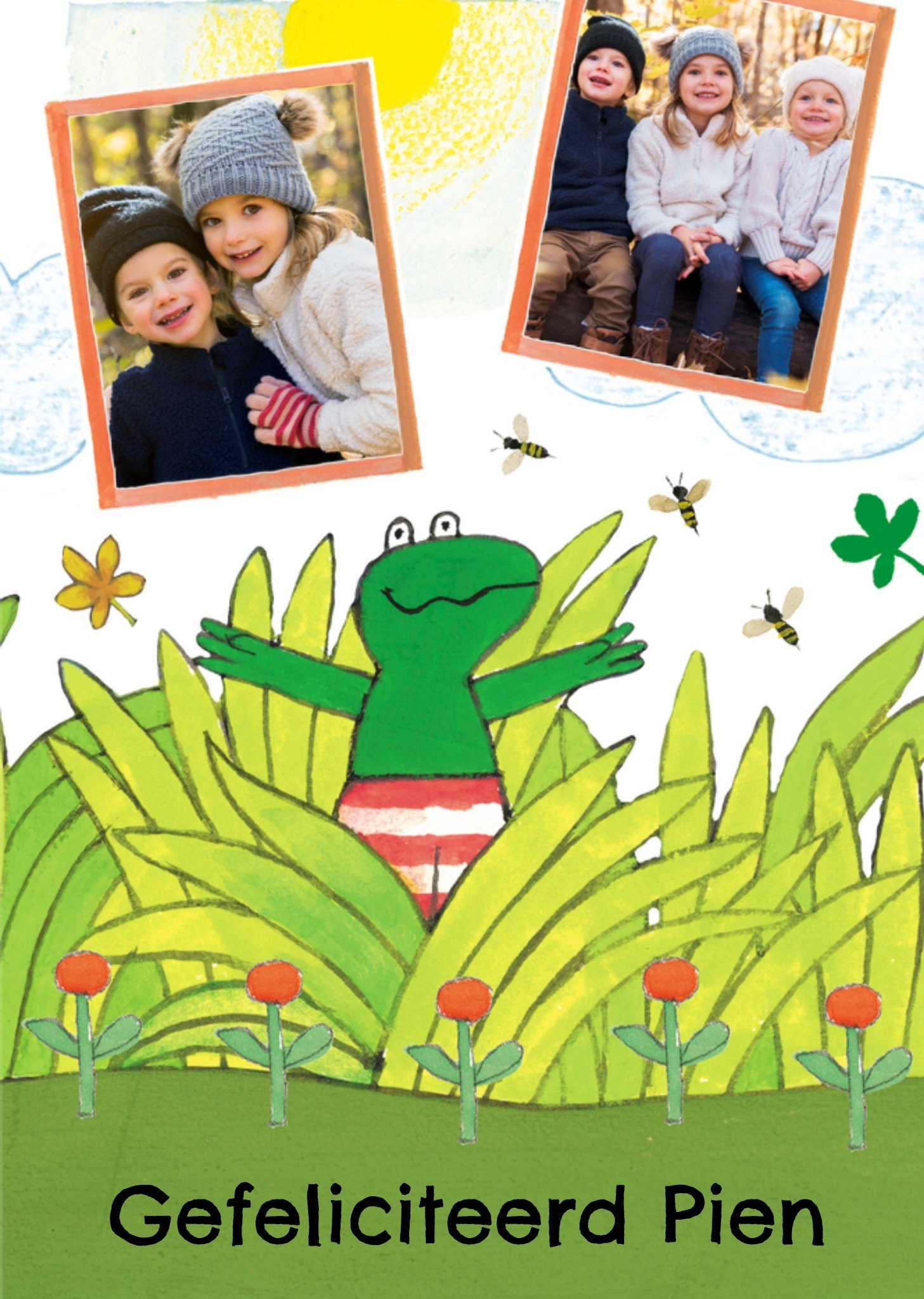 Kikker Verjaardagskaart Gefeliciteerd Greetz