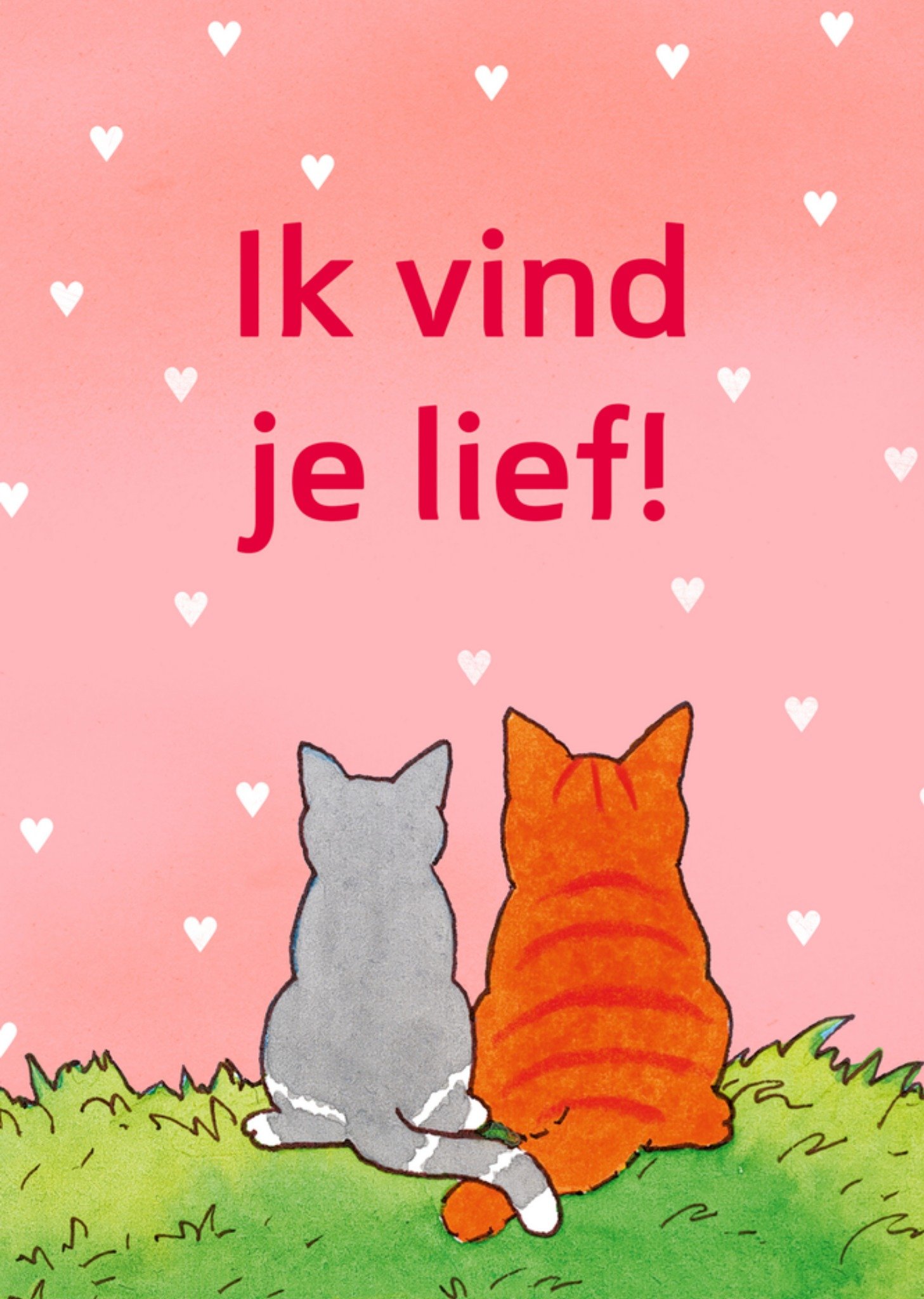 Valentijnskaart Katten Hartjes Kaart Dikkie Dik