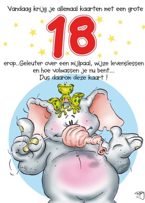 Dus Daarom Deze Kaart Grappige Illustratie Olifant 18e Verjaardag Kaart
