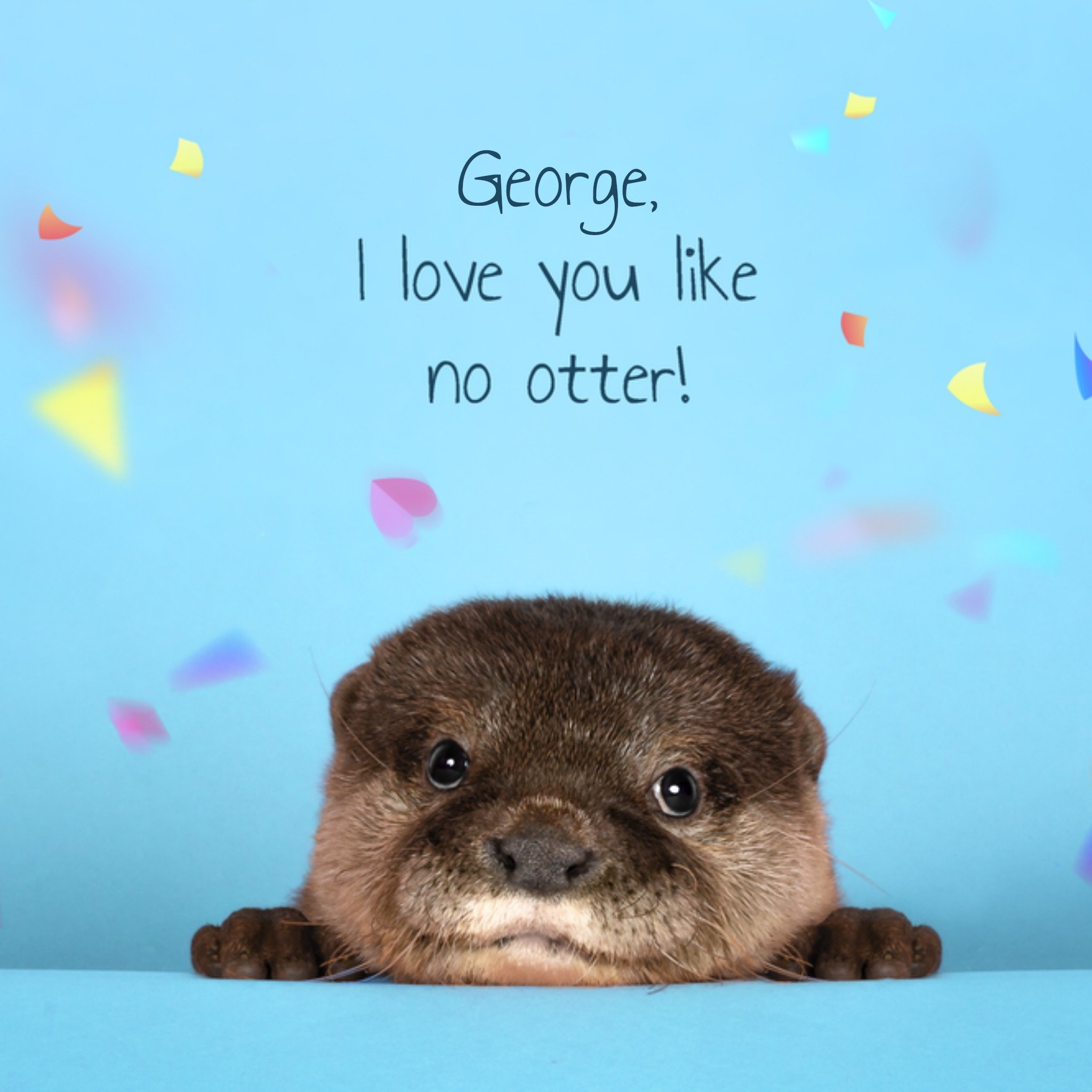 Valentijnskaart Love you like no otter Vierkante Kaart Catchy Images
