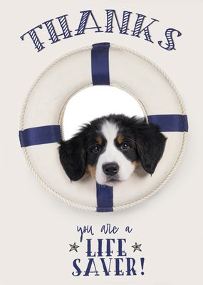 Catchy Images | Bedanktkaart | Thanks you are a life saver
