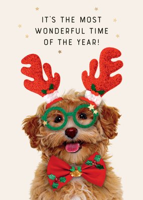 TMS | Kerstkaart | It's the most wonderful time of the year