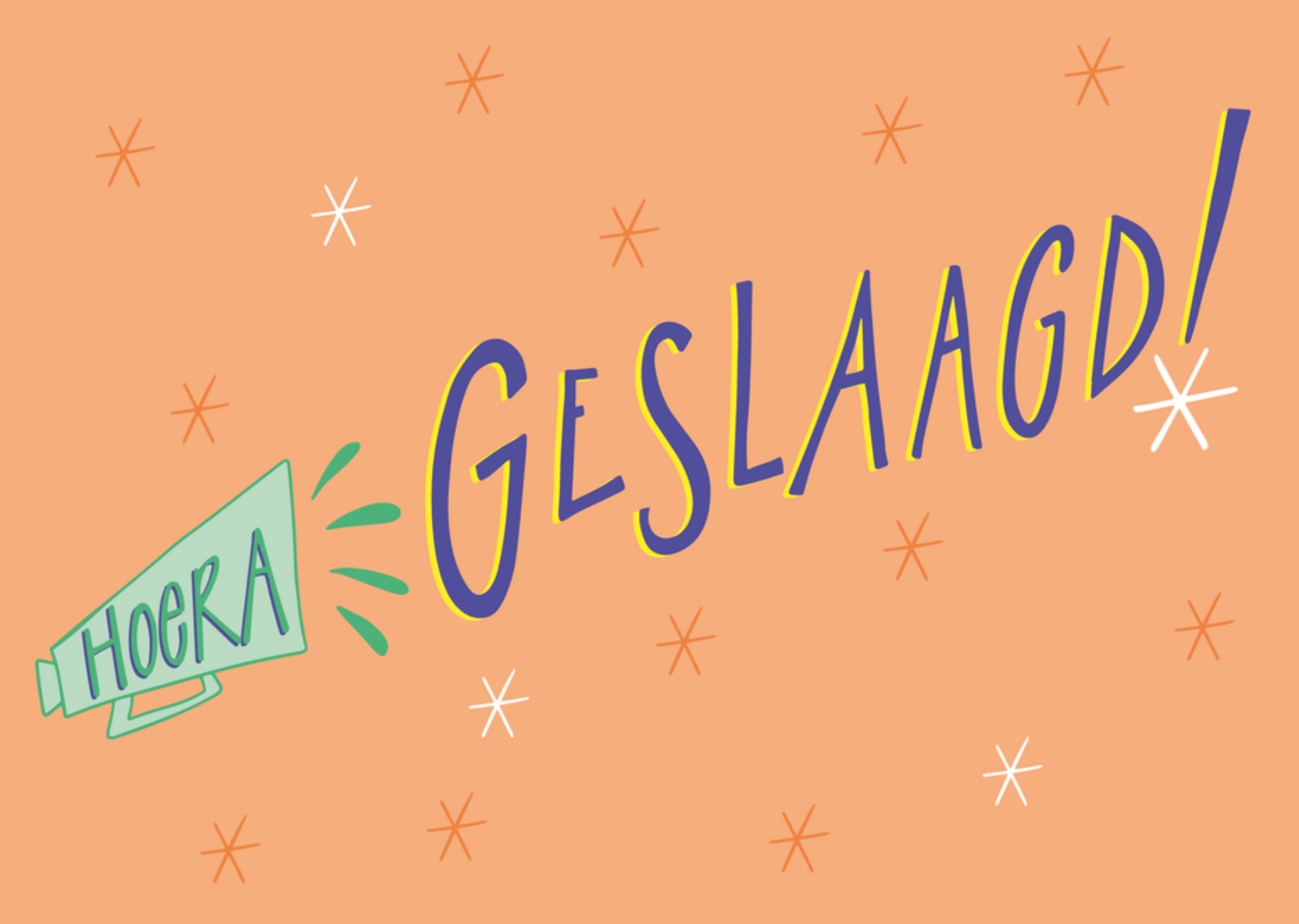 Geslaagdkaart Hoera Kaart Funny Side Up