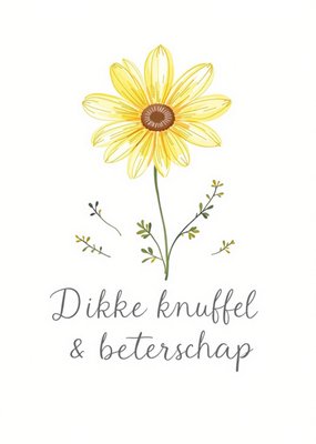 Greetz | Beterschap Ansichtkaart | Dikke knuffel en beterschap