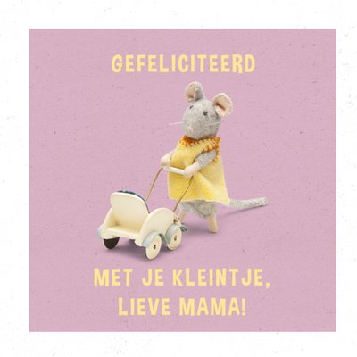 Sam & Julia Het Muizenhuis Met Je Kleintje Lieve Mama Geboortekaart
