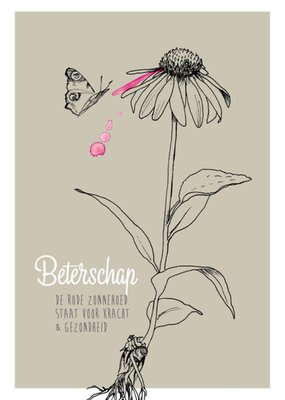 Veer&Moon | Beterschapskaart | Illustratie bloem en vlinder