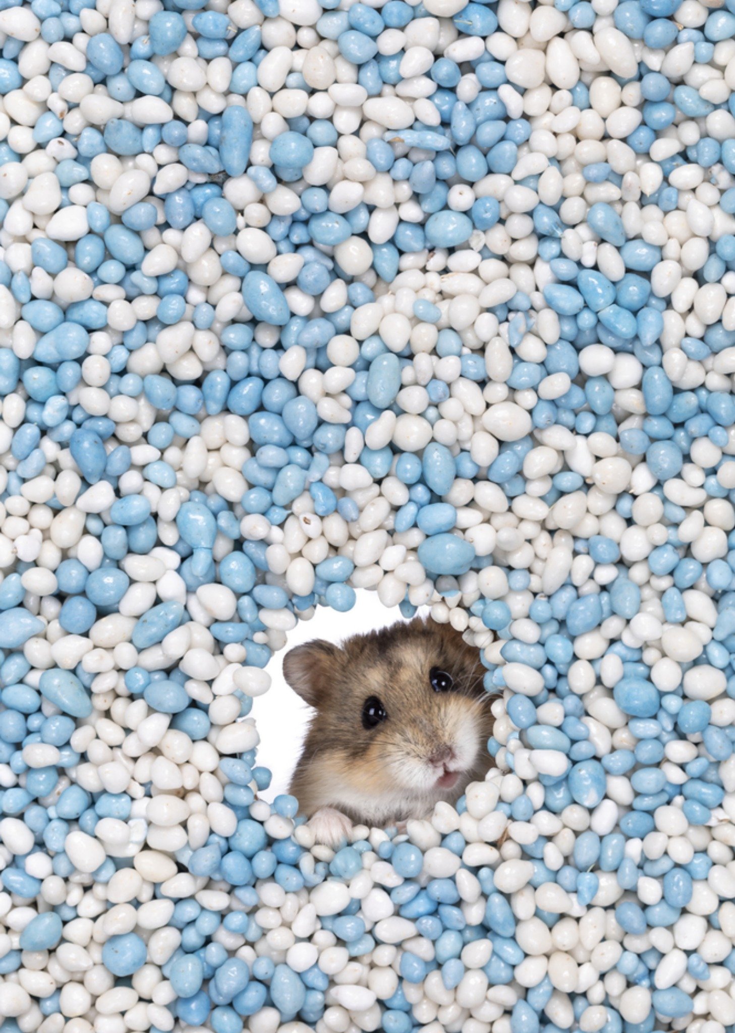 Geboortekaart blauwe muisjes Kaart Catchy Images