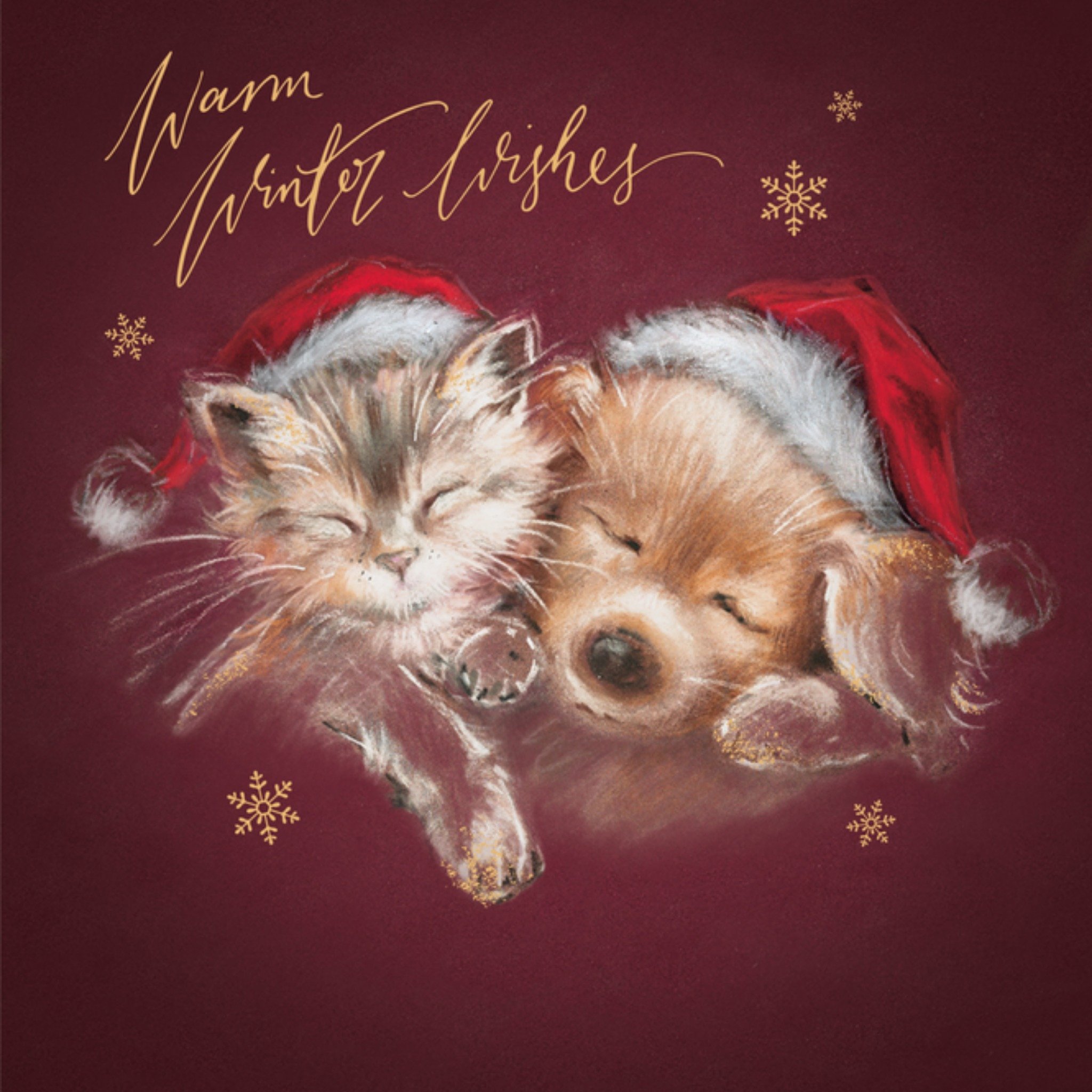 Kerstkaart Kat en Hond UK Greetings