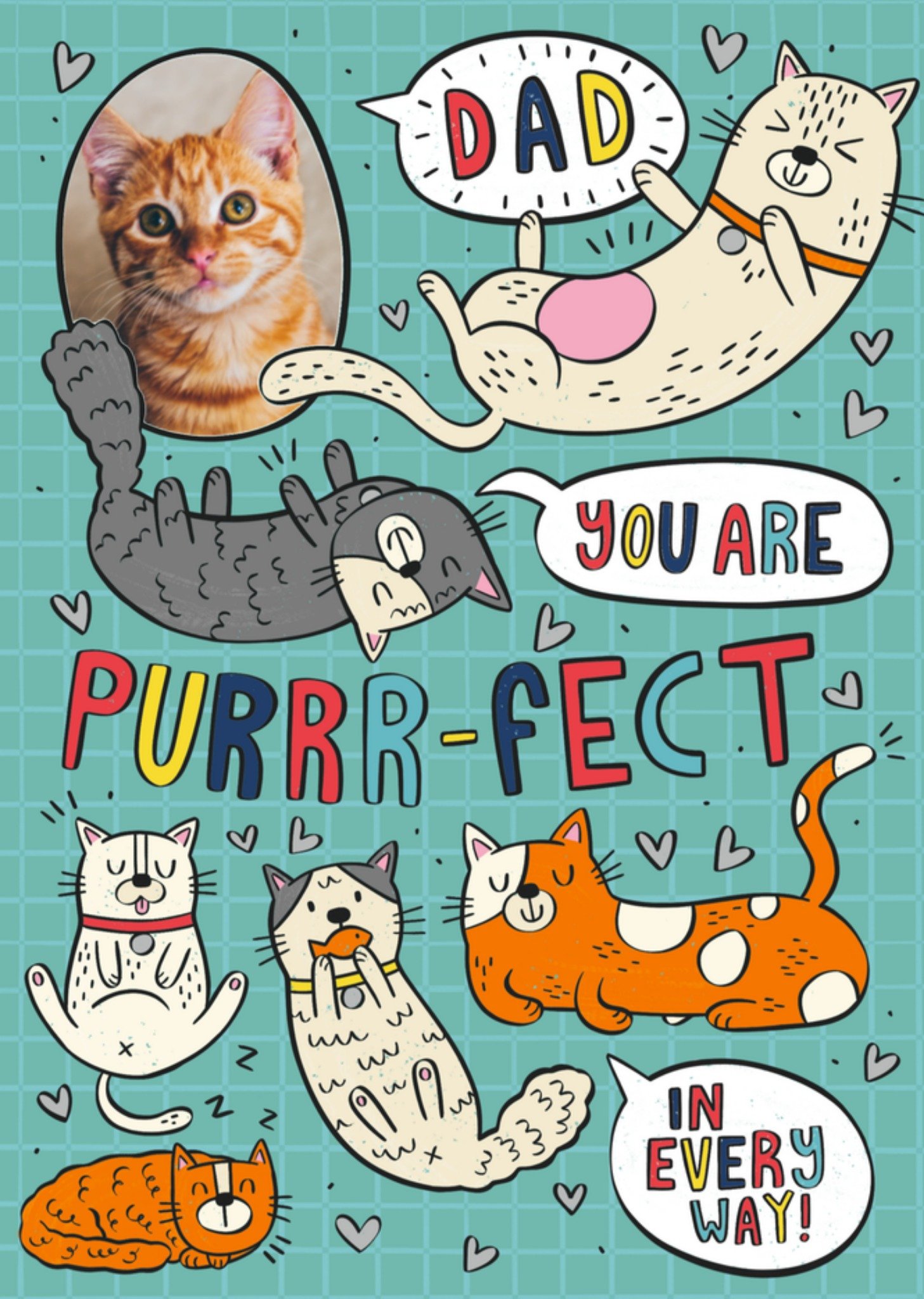 Vaderdagkaart katten Kaart Greetz