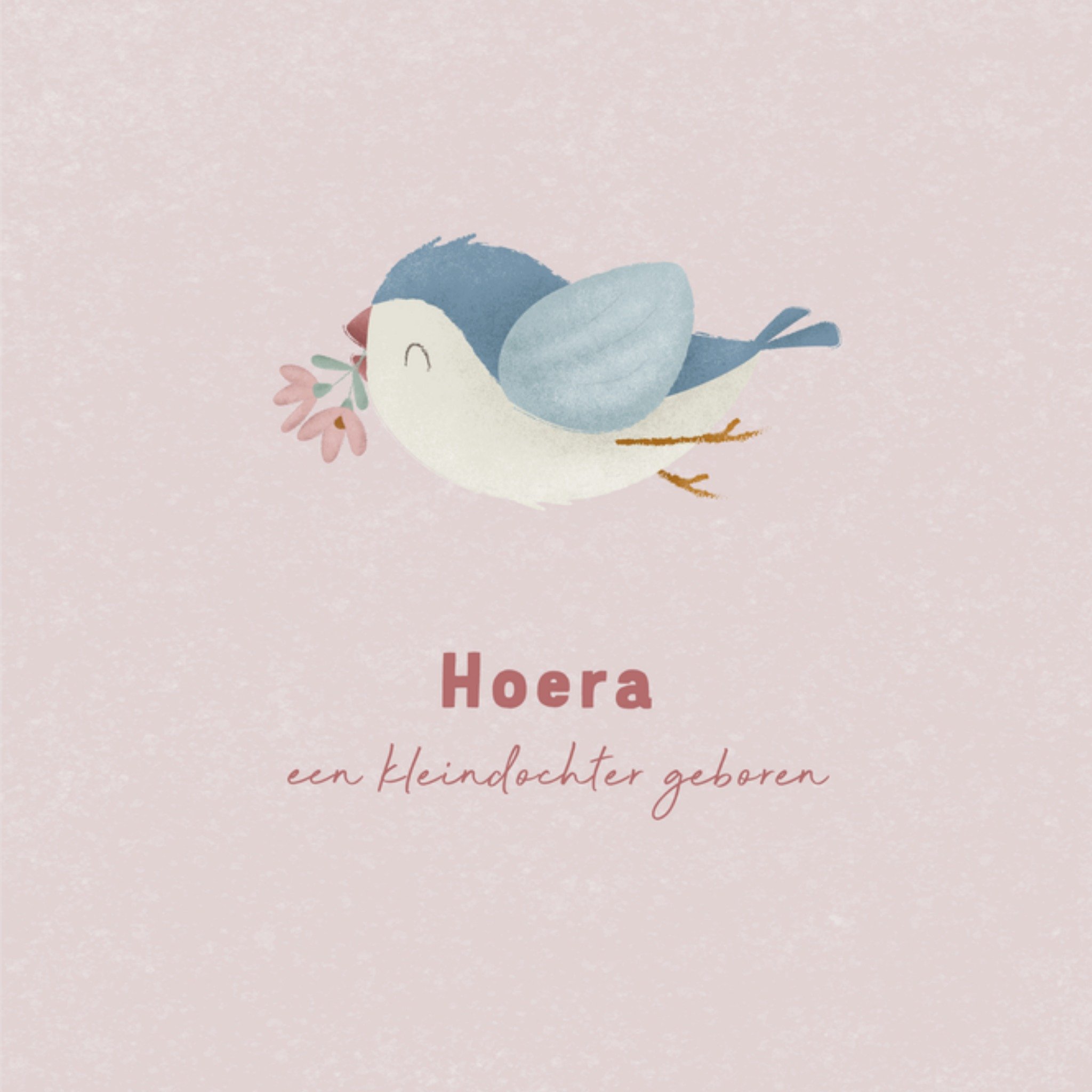 Geboortekaart Kleindochter Vierkante Kaart Little Dutch