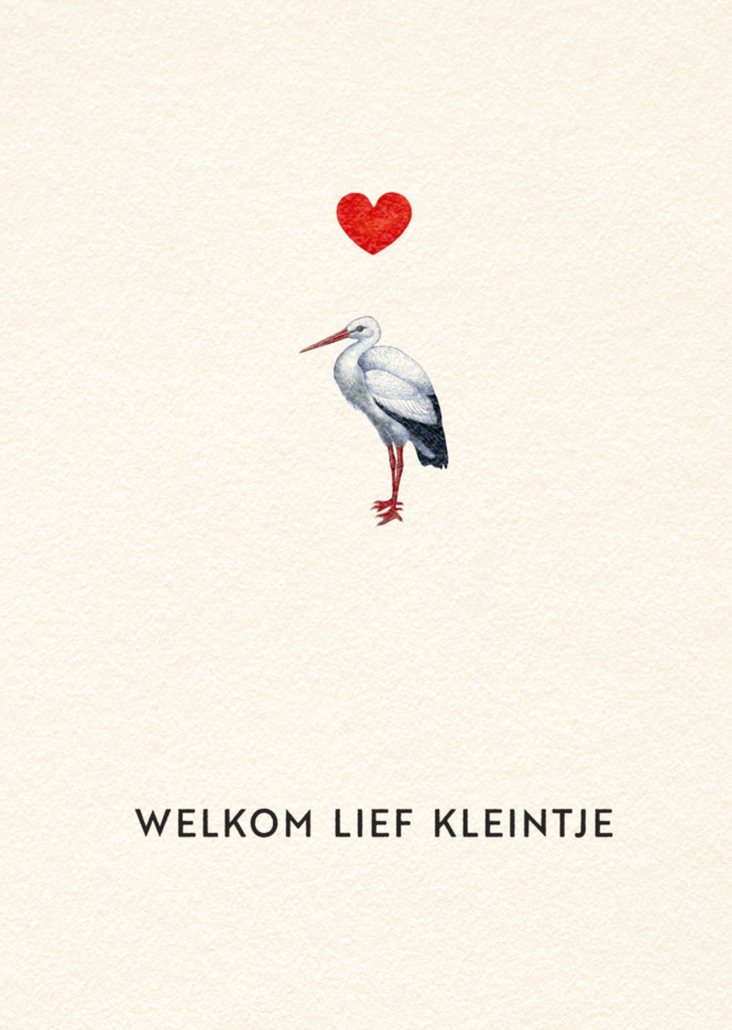 Bright Spot Geboortekaart Welkom lief kleintje Standard Card