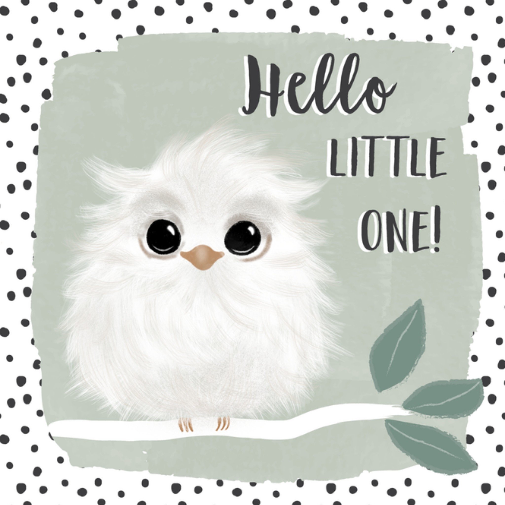 Geboortekaart Uil Vierkante Kaart Tsjip