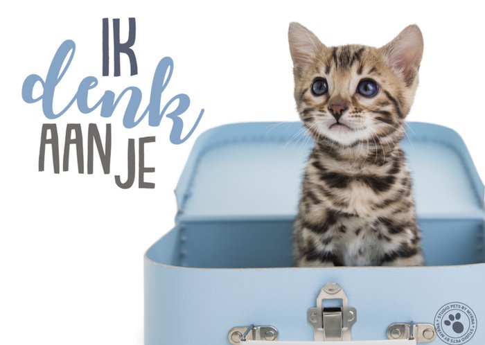 Denken aan | Studio Pets | Dieren