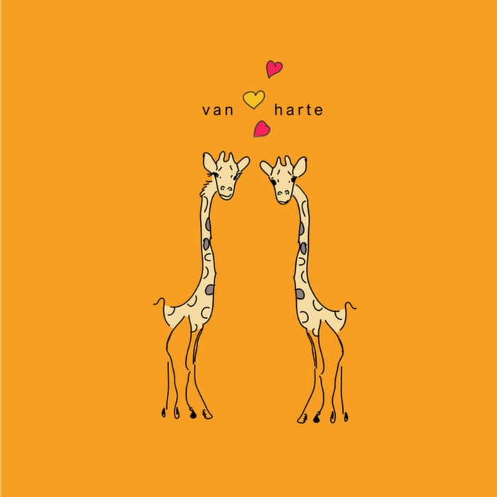 Studio Marloes | Verjaardagskaart | Giraffe