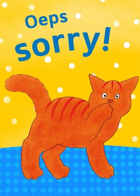 Dikkie Dik | Sorry kaart | oeps | kat