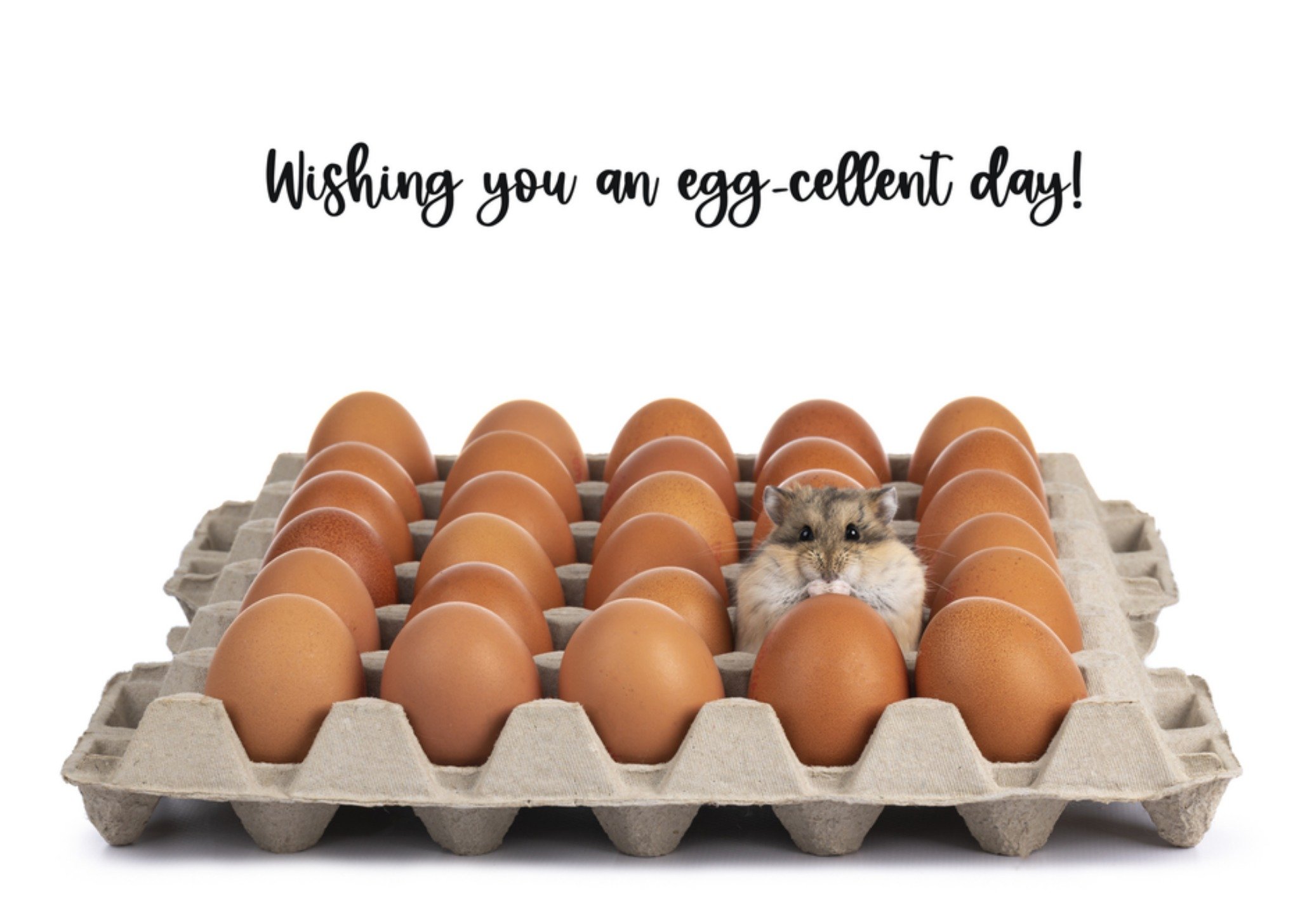 Verjaardagskaart hamster Kaart Catchy Images