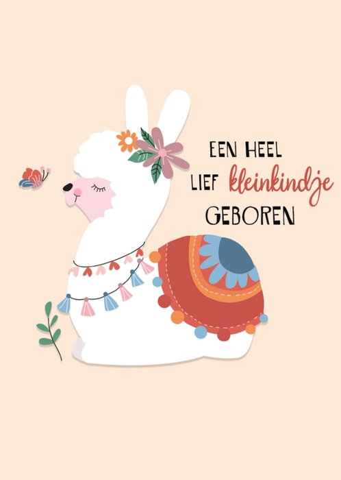 Paperclip | Geboortekaart | Kleinkindje geboren
